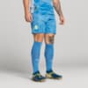 Image PUMA Meião Goleiro Palmeiras HOME 2025 #2