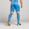 Image PUMA Meião Goleiro Palmeiras HOME 2025 #3