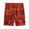 Image PUMA Shorts Goleiro Palmeiras Jogador AWAY 2025 #7