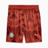 Image PUMA Shorts Goleiro Palmeiras Jogador AWAY 2025 #6