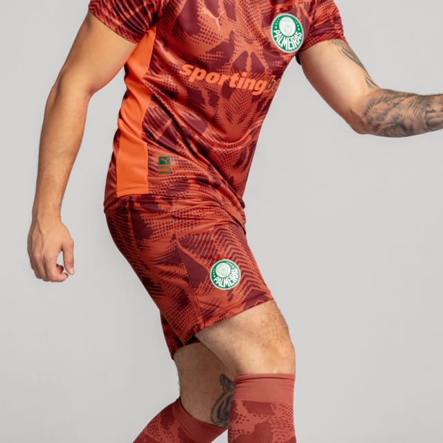 Image PUMA Shorts Goleiro Palmeiras Jogador AWAY 2025