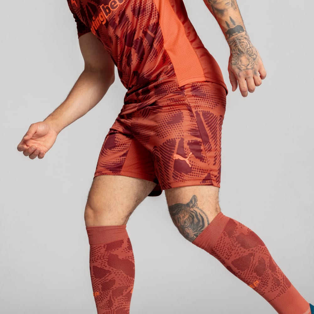 Image PUMA Shorts Goleiro Palmeiras Jogador AWAY 2025 #2