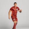Image PUMA Shorts Goleiro Palmeiras Jogador AWAY 2025 #4