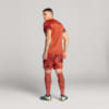 Image PUMA Shorts Goleiro Palmeiras Jogador AWAY 2025 #5