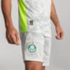 Image PUMA Shorts Goleiro Palmeiras Jogador THIRD 2025 #1