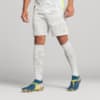 Image PUMA Shorts Goleiro Palmeiras Jogador THIRD 2025 #2