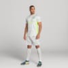 Image PUMA Shorts Goleiro Palmeiras Jogador THIRD 2025 #4