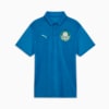 Image PUMA Camisa Polo Palmeiras Treino 2025 #1