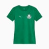 Image PUMA Camisa Palmeiras Treino 2025 Feminina #1