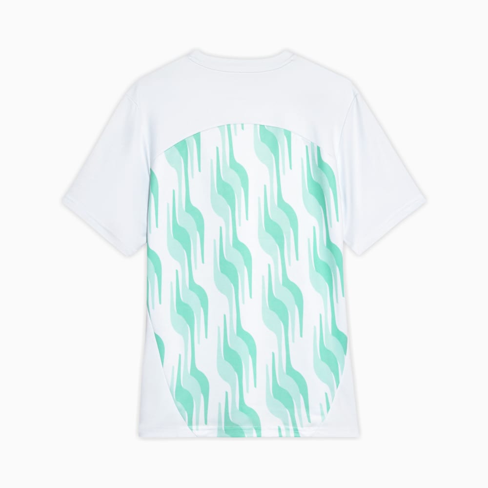 Image PUMA Camisa Pré-Jogo Palmeiras 2025 #2