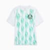 Image PUMA Camisa Pré-Jogo Palmeiras 2025 #1