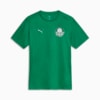 Image PUMA Camisa Palmeiras Treino 2025 #1