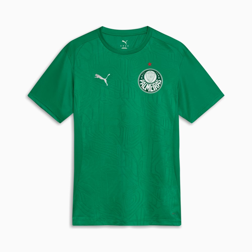 Image PUMA Camisa Palmeiras Treino 2025 #1
