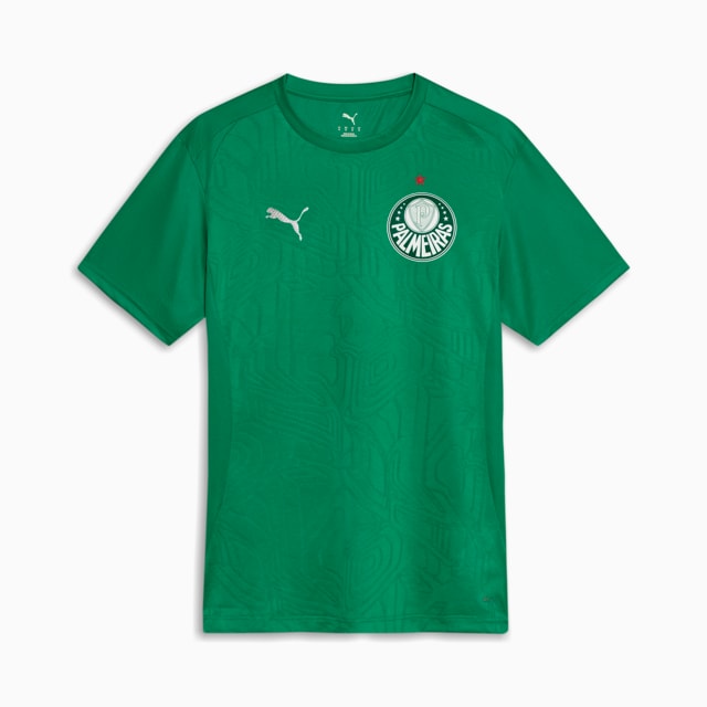Image PUMA Camisa Palmeiras Treino 2025