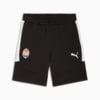 Зображення Puma Шорти FC Shakhtar Donetsk EVOSTRIPE Shorts #1: Puma Black-Puma White
