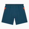 Изображение Puma Шорты FC Shakhtar Donetsk Training Shorts #2: Gray Skies-Neon Sun