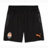 Изображение Puma Шорты FC Shakhtar Donetsk Training Shorts #1: PUMA Black-Rickie Orange