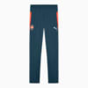 Изображение Puma Брюки FC Shakhtar Donetsk Training Pants #1: Gray Skies-Neon Sun