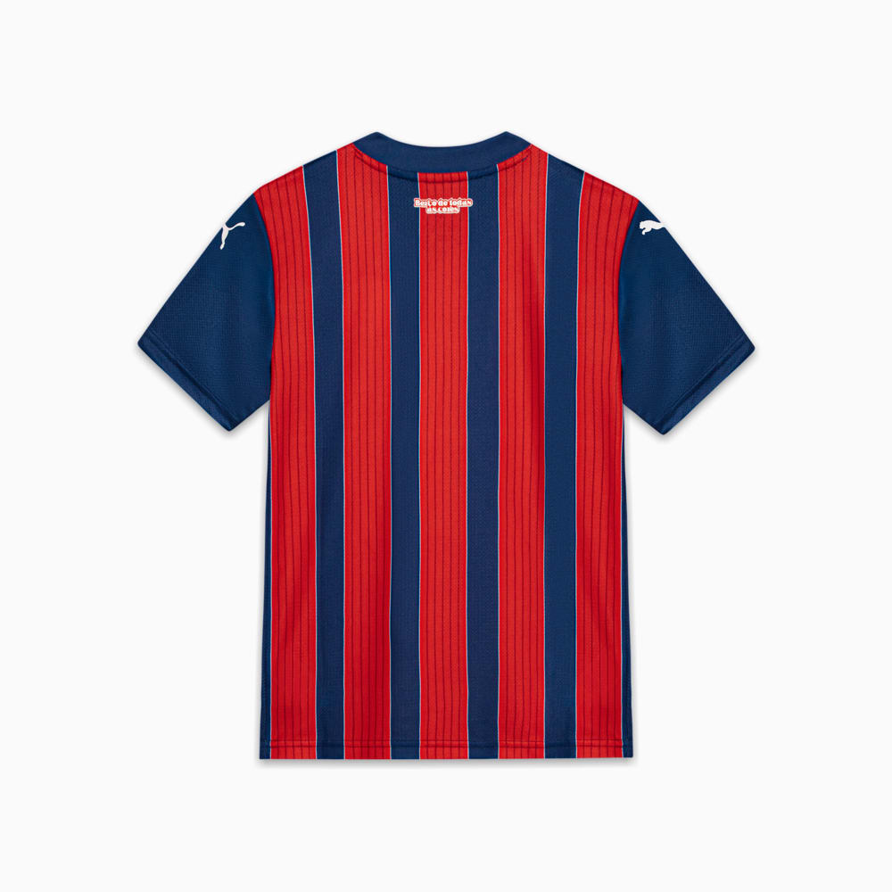 Image PUMA Camisa Bahia Torcedor Away 2025 Juvenil #2