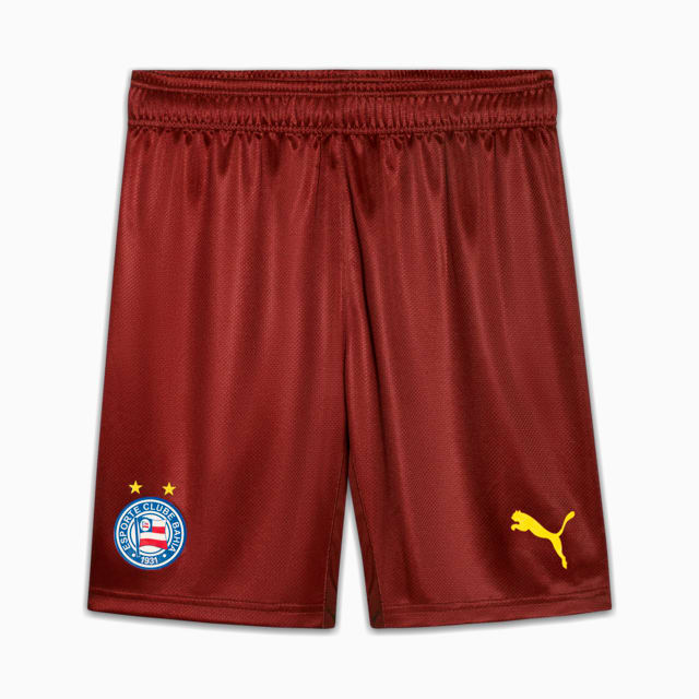 Image PUMA Shorts Bahia Jogador Third 2025