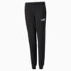 Зображення Puma Штани Essentials+ Youth Sweatpants #1: Puma Black