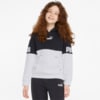 Изображение Puma Детская толстовка Power Colour-Blocked Youth Hoodie #1