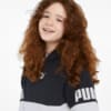Изображение Puma Детская толстовка Power Colour-Blocked Youth Hoodie #4