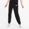 Зображення Puma Дитячі штани Power Colour-Blocked Youth Pants #1: Puma Black