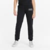 Зображення Puma Дитячі штани Alpha Youth Sweatpants #1: Puma Black