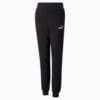 Зображення Puma Дитячі штани Essentials+ Logo Youth Sweatpants #5: Puma Black-Silver