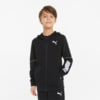 Зображення Puma Дитяча толстовка Active Sports Full-Zip Youth Hoodie #1: Puma Black