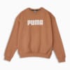 Зображення Puma Світшот Essentials Full Length Crew Neck Women’s Sweatshirt #1: Mocha Mousse
