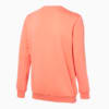 Изображение Puma Толстовка Essentials Sweatshirt Men #2: Burnt Coral