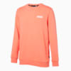 Изображение Puma Толстовка Essentials Sweatshirt Men #1: Burnt Coral