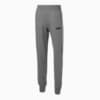 Зображення Puma Штани ESS PUMA Pants FL cl M #1: Medium Gray Heather