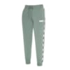 Зображення Puma Штани Tape Pants FL W #1: Laurel Wreath