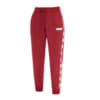 Зображення Puma Штани Tape Pants FL W #1: Burgundy