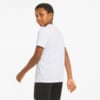 Imagen PUMA Polera juvenil Alpha Graphic #2
