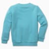 Зображення Puma Дитяча толстовка Fruitmates Crew Neck Kids' Sweatshirt #6: Porcelain