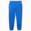 Зображення Puma Дитячі штани Fruitmates Kids' Sweatpants #6: victoria blue