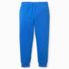 Image Puma Fruitmates Kids' Sweatpants #6