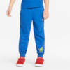 Зображення Puma Дитячі штани Fruitmates Kids' Sweatpants #1: victoria blue