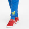 Зображення Puma Дитячі штани Fruitmates Kids' Sweatpants #4: victoria blue