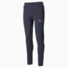 Görüntü Puma EVOSTRIPE Erkek Eşofman Altı #4