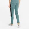 Image Puma Evostripe Men's Pants #2