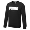 Зображення Puma Дитяча толстовка Essentials Fleece Crew Neck Sweatshirt Youth #1: Puma Black