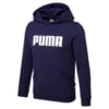 Зображення Puma Дитяче худі Essentials Youth Hoodie #1: Peacoat