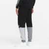 Image PUMA Calça Moletom Essentials+ Block Masculina #2