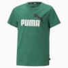Image Puma Essentials+ Two Tone Logo Youth Tee #5