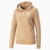Image PUMA Moletom com Capuz Essentials Plus Embroidery Terry Feminino #6